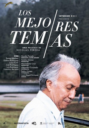 Los Mejores Temas (2012) - poster