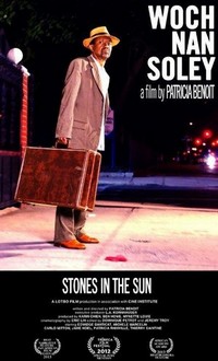 Stones in the Sun (2012) - poster