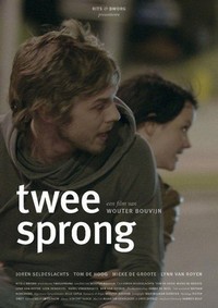 Tweesprong (2012) - poster