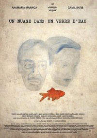 Un Nuage dans un Verre d'Eau (2012) - poster