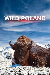 Wildes Polen - Tatra, Ostsee und Masuren (2012) - poster