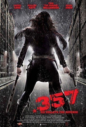 .357 (2013) - poster