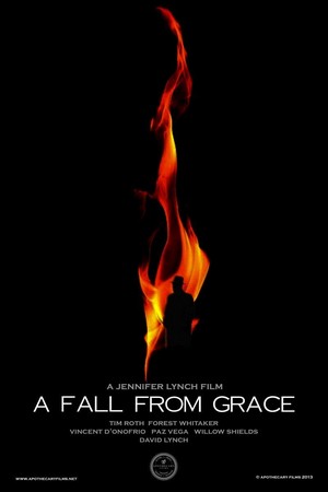 A Fall from Grace (2013) - poster