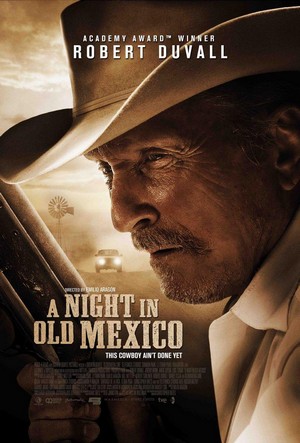 A Night in Old Mexico (2013) - poster