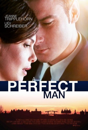 A Perfect Man (2013) - poster