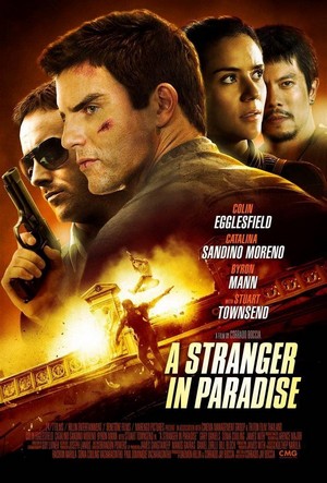 A Stranger in Paradise (2013) - poster