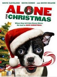 Alone for Christmas (2013) - poster