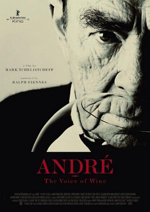 André (2013) - poster