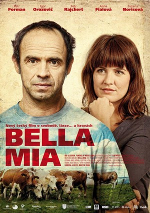 Bella Mia (2013) - poster
