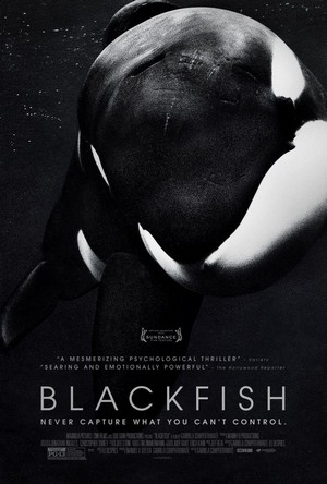 Blackfish (2013) - poster