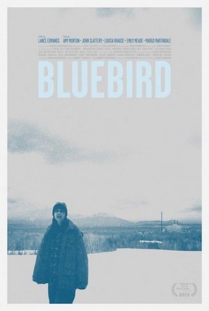 Bluebird (2013) - poster