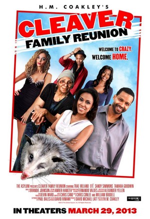 Cleaver Family Reunion (2013) - poster