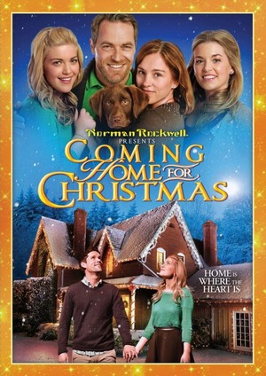 Coming Home for Christmas (2013) - poster