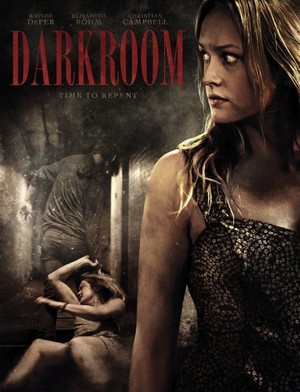Darkroom (2013) - poster