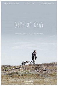 Days of Gray (2013) - poster