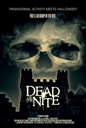 Dead of the Nite (2013) - poster