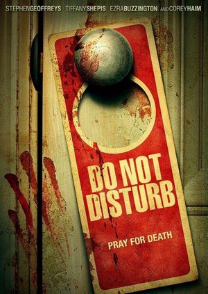 Do Not Disturb (2013) - poster