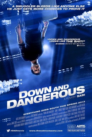 Down and Dangerous (2013) - poster
