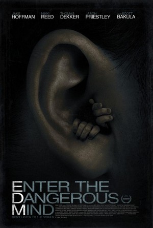Enter the Dangerous Mind (2013) - poster