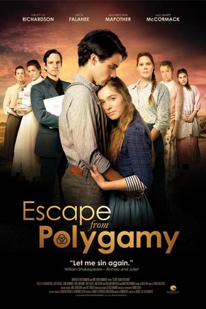Escape from Polygamy (2013) - poster