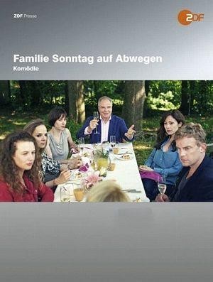 Familie Sonntag auf Abwegen (2013) - poster