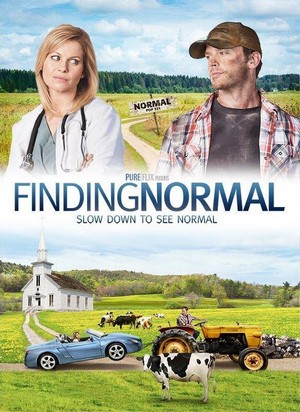 Finding Normal (2013) - poster