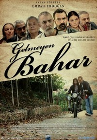 Gelmeyen Bahar (2013) - poster