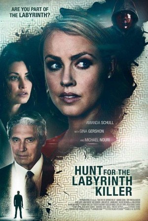 Hunt for the Labyrinth Killer (2013) - poster