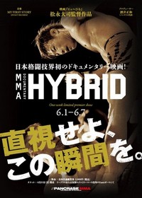 Hybrid (2013) - poster