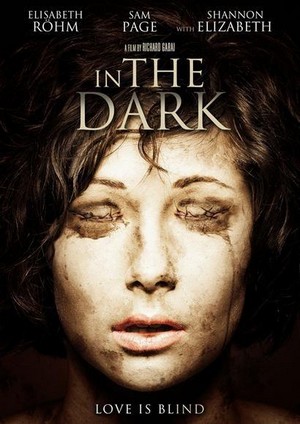 In the Dark (2013) - poster