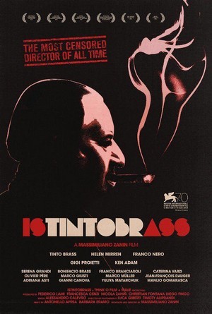 Istintobrass (2013) - poster