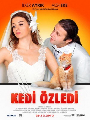 Kedi Özledi (2013) - poster