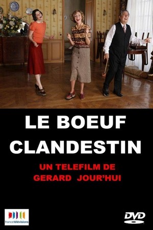 Le Boeuf Clandestin (2013) - poster