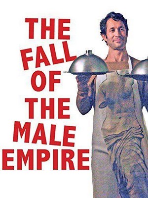 Le Déclin de l'Empire Masculin (2013) - poster