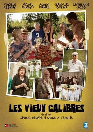 Les Vieux Calibres (2013) - poster