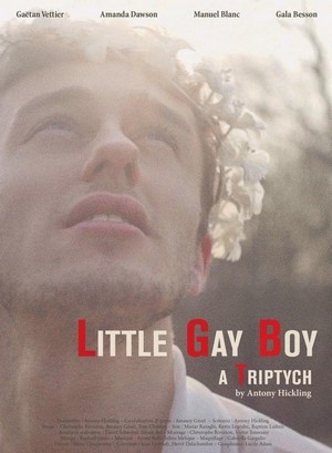 Little Gay Boy (2013) - poster
