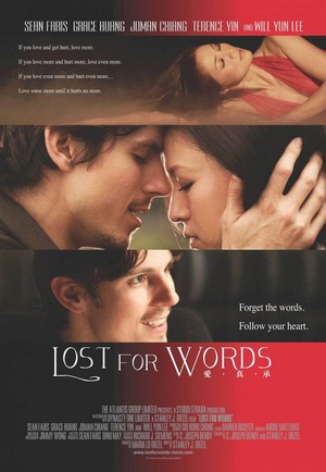 Lost for Words (2013) - poster