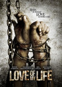 Love of My Life (2013) - poster