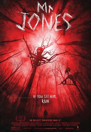 Mr. Jones (2013) - poster