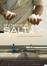 My Name Is Salt (2013) - poster