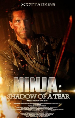 Ninja: Shadow of a Tear (2013) - poster