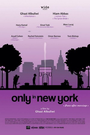 Only in New York (2013) - poster