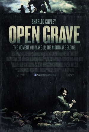 Open Grave (2013) - poster
