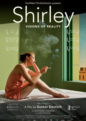 Shirley: Visions of Reality (2013) - poster