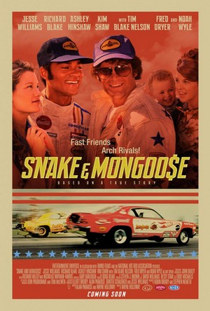 Snake and Mongoose (2013) - poster