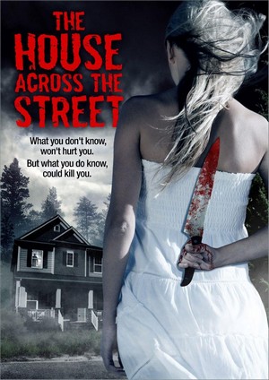 The House Across the Street (2013) - poster