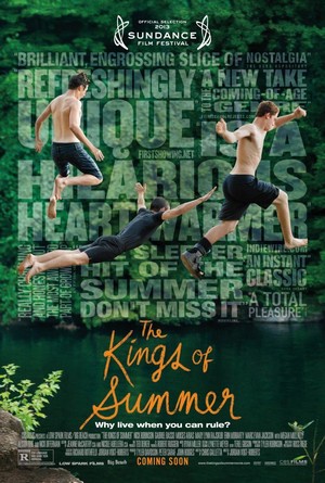 The Kings of Summer (2013) - poster