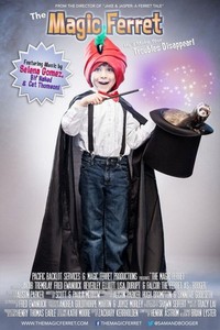 The Magic Ferret (2013) - poster