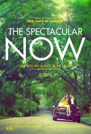 The Spectacular Now (2013) - poster