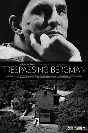 Trespassing Bergman (2013) - poster